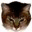 catsden.wordpress.com
