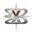 radialbydesign.com