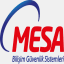 mesabilisim.com