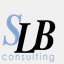slbconsulting.fr