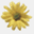 fullesiflors.com