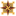 xpcp.ca