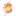 zelsis.com