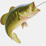 bassfishing-gurus.com