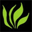 lapancooking.com