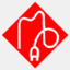 bonimer.com