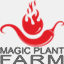 magicplantfarms.com