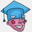 wunderstudent.com