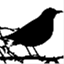 primesound.net