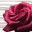 friedamolotow.wordpress.com
