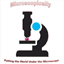 microsynapse.com