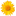 whisperorphans.org