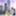 transbayblog.com