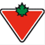 goctonsite.com