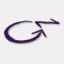 gothamnomads.org
