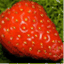 mystrawberrynotes.wordpress.com