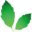 greenerconceptsnc.com