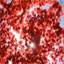 enviedasie.over-blog.fr