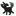 wholetthedogsoutrace.org