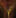 faustiii.de