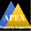apexinspects.com