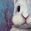 bunny.cc