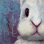 bunny.cc