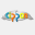 cipponng.com