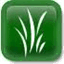 cyprusgrass.com
