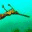 divingsydney.wordpress.com
