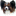 demibohemia.dogweb.cz
