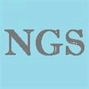 ngsmarketing.com