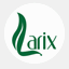 larix.ro