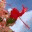 4evershooting.wordpress.com