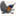 bluebirdonmyshoulder.wordpress.com