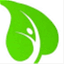hyleap.wordpress.com