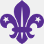 3cfscouts.com