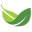 bayleafdigital.com