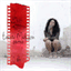 tamaramadison.bandcamp.com