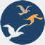 dovecotefm.co.uk