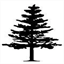 pineechoes.com