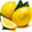 andriz.de