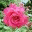 lisstom.wordpress.com