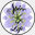 lifespice.us