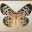 minervaria.wordpress.com