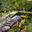 poplargrovecemetery.org