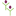 nex-bud.pl