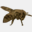 beehavenfl.com