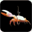 fiddlercrab.info