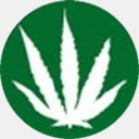 norml.drugsense.org